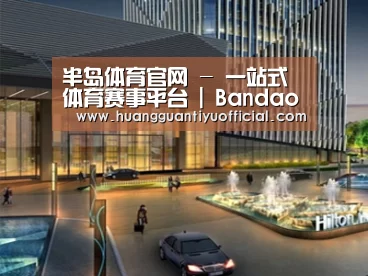 案例展示二(图1)