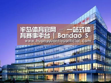 案例展示五
