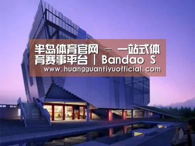 案例展示六