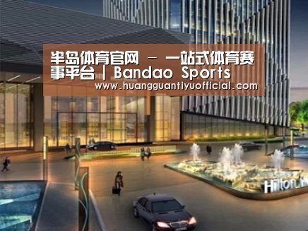 案例展示二