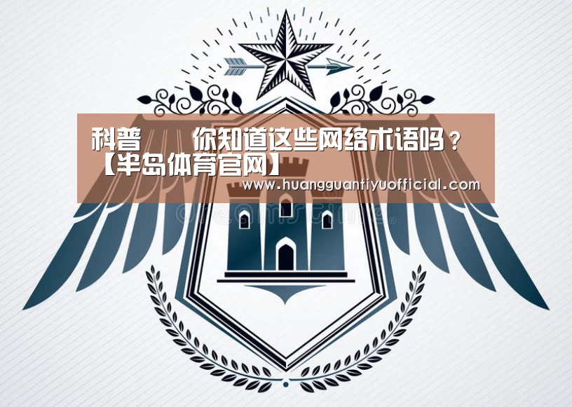 科普 ‖ 你知道这些网络术语吗?【半岛体育官网】(图1) 科普 ‖ 你知道这些网络术语吗?【半岛体育官网】(图1)