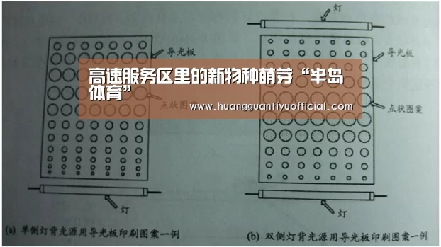 
高速服务区里的新物种萌芽“半岛体育”(图1)